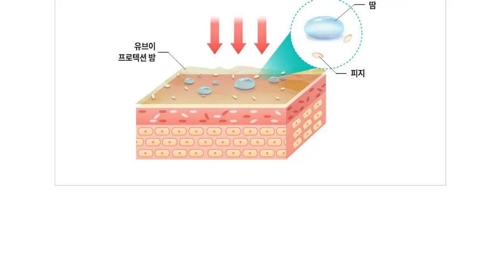[소프트-파우더리 시스템] 리쥬란 힐러 UV 프로텍션 밤 19g 상세페이지 11
